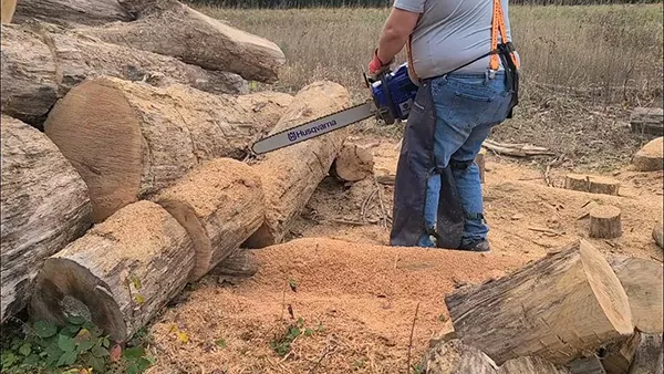 Holzforma Farmertec G288 Eat oak!